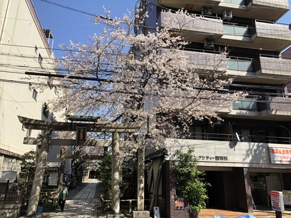 オカンとの会話の共通項。VOL.72